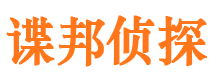 平原私家侦探